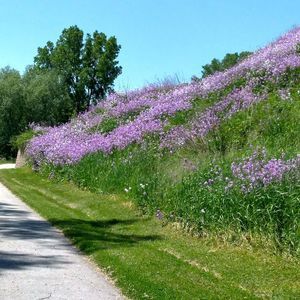 Meet your Posher, Janet